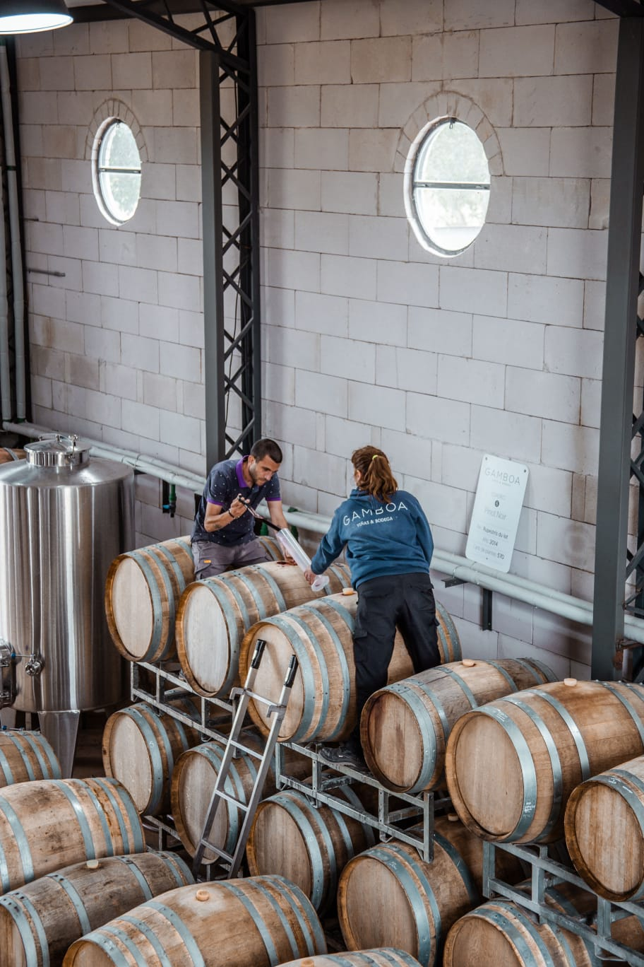 Barricas de roble en la sala de elaboración de Bodega Gamboa