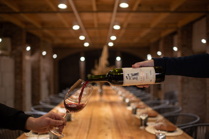 Brindis con vino Gamboa en la cava de la bodega