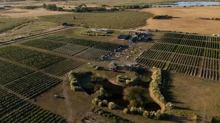 Estancia y viñedos de Bodega Gamboa